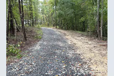 V/L W V Thompson Road, Rutherfordton, NC 28139 - Photo 13