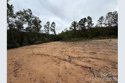 V/L W V Thompson Road, Rutherfordton, NC 28139 - Photo 7