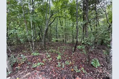 V/L W V Thompson Road, Rutherfordton, NC 28139 - Photo 3