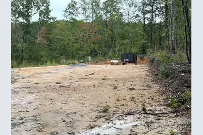 V/L W V Thompson Road, Rutherfordton, NC 28139 - Photo 15
