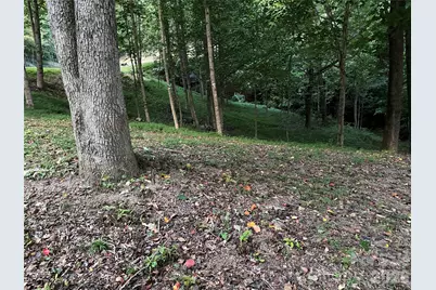 270 Somersby Parkway, Laurel Park, NC 28739 - Photo 7