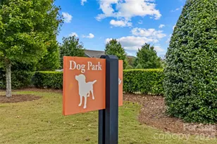 8219 Asher Chase Trl, Indian Land, SC 29720 - Photo 45