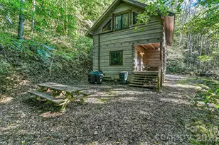 8579 Big Pine Rd, Marshall, NC 28753 - Photo 9