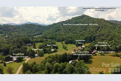 316 Stevenson Cove Road, Waynesville, NC 28785 - Photo 9