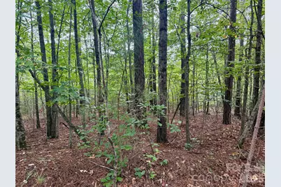 V/L Grandview Loop #376, Nebo, NC 28761 - Photo 7