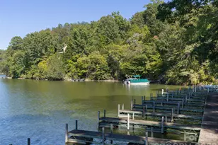 5 Chalet Ct, Mill Spring, NC 28756 - Photo 29