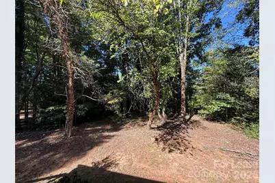 11909 Field Street, Cornelius, NC 28031 - Photo 31