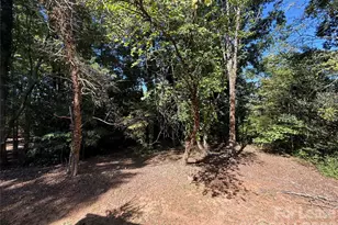 11909 Field St, Cornelius, NC 28031 - Photo 31