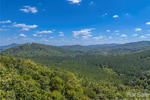 642 Mountain Lookout Dr, Bostic, NC 28018 - Photo 43