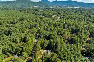 12 Dunnwoody Dr, Arden, NC 28704 - Photo 47
