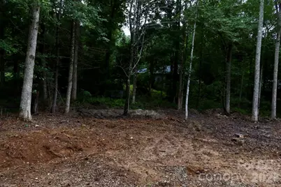 180 Cinnamon Way #22, Flat Rock, NC 28731 - Photo 13