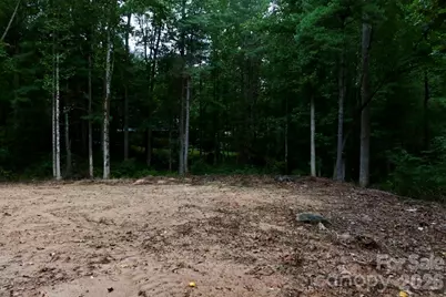 180 Cinnamon Way #22, Flat Rock, NC 28731 - Photo 15
