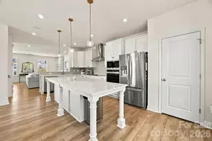 2526 Magnolia Blossom Wy, Charlotte, NC 28211 - Photo 7