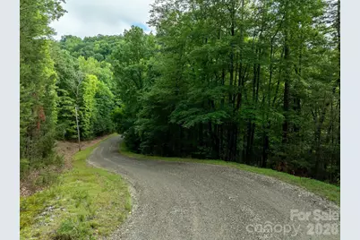 0000 Wheel Team Trail #44, McGrady, NC 28649 - Photo 23