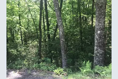 99999 Galax Lane #B-12, Brevard, NC 28712 - Photo 11