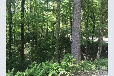 99999 Galax Lane #B-12, Brevard, NC 28712 - Photo 13