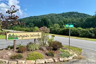 99999 Galax Ln, Brevard, NC 28712 - Photo 1