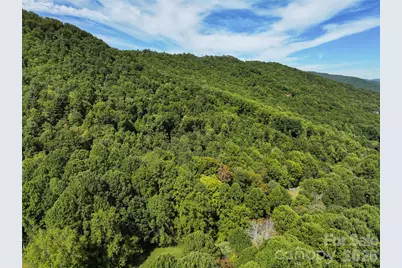 000 Mauney Cove Road, Waynesville, NC 28786 - Photo 9