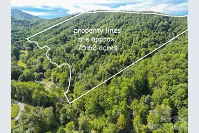 000 Mauney Cove Road, Waynesville, NC 28786 - Photo 1