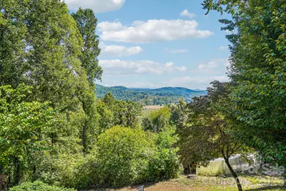 239 Bearwallow Mountain Road, Hendersonville, NC 28792 - Photo 37