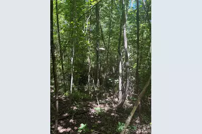 0 E Pine Hill Avenue, Morganton, NC 28655 - Photo 33
