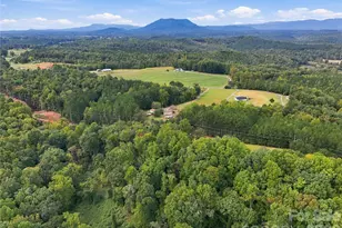 784 Big Level Rd, Mill Spring, NC 28756 - Photo 29