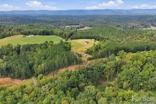 784 Big Level Rd, Mill Spring, NC 28756 - Photo 31