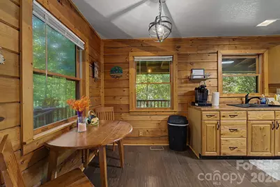 181 Seven Springs Road, Whittier, NC 28789 - Photo 29