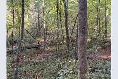 V/L Kashs Way #7, Nebo, NC 28761 - Photo 17