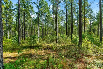 0000 Garvin Road #1, York, SC 29726 - Photo 5