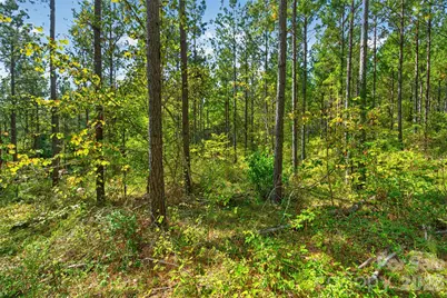 0000 Garvin Road #1, York, SC 29726 - Photo 15