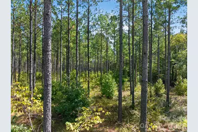 0000 Garvin Road #1, York, SC 29726 - Photo 7
