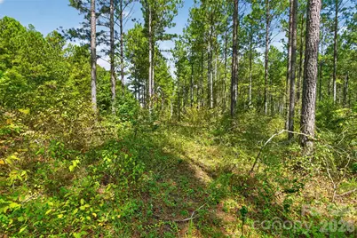 0000 Garvin Road #1, York, SC 29726 - Photo 11