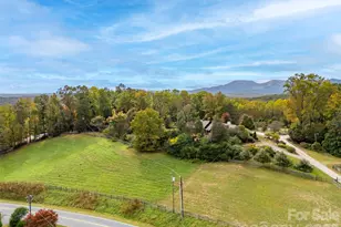 936 Golden Rd, Tryon, NC 28782 - Photo 35