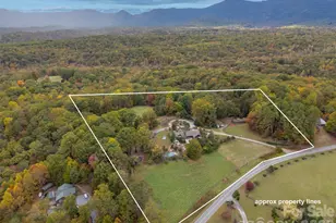 936 Golden Rd, Tryon, NC 28782 - Photo 3