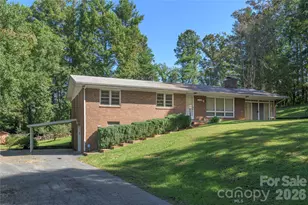 2882 Butler Bridge Rd, Mills River, NC 28759 - Photo 25