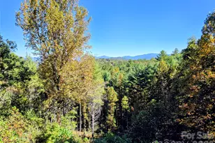 105 Poplar Ridge Ln, Burnsville, NC 28714 - Photo 15