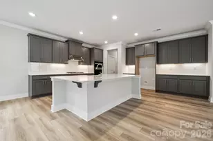 10059 Cannon Vis Ln, Kannapolis, NC 28027 - Photo 11