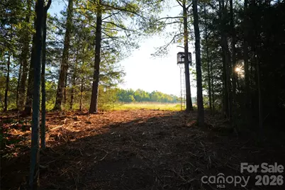 2233 Rodman Road, Chester, SC 29706 - Photo 13