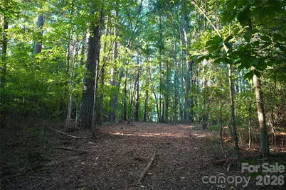 2233 Rodman Road, Chester, SC 29706 - Photo 33