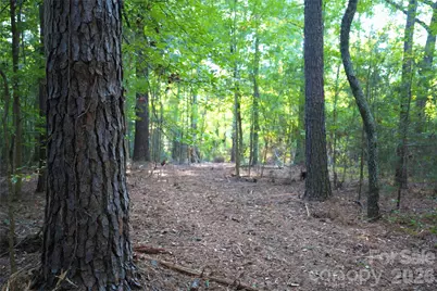 2233 Rodman Road, Chester, SC 29706 - Photo 31