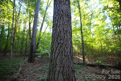 2233 Rodman Road, Chester, SC 29706 - Photo 29