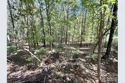 2030 Ellison Drive, Rock Hill, SC 29730 - Photo 29