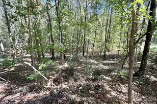2030 Ellison Dr, Rock Hill, SC 29730 - Photo 29