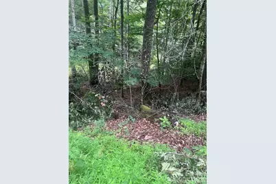 0000 Forest Lane, Blowing Rock, NC 28605 - Photo 5