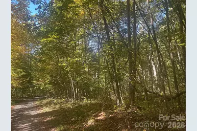 00 Split Pine Cove, Clyde, NC 28721 - Photo 7