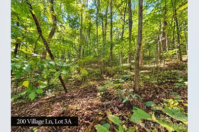 200 Village Lane #3A, Waynesville, NC 28786 - Photo 29