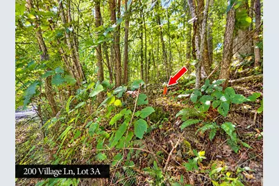 200 Village Lane #3A, Waynesville, NC 28786 - Photo 3