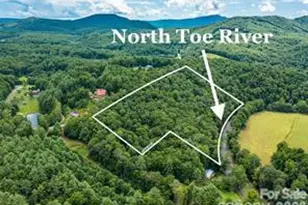 000 Davenport Rd, Spruce Pine, NC 28777 - Photo 1