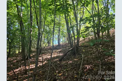2650 Russell Gap Road, Moravian Falls, NC 28654 - Photo 5